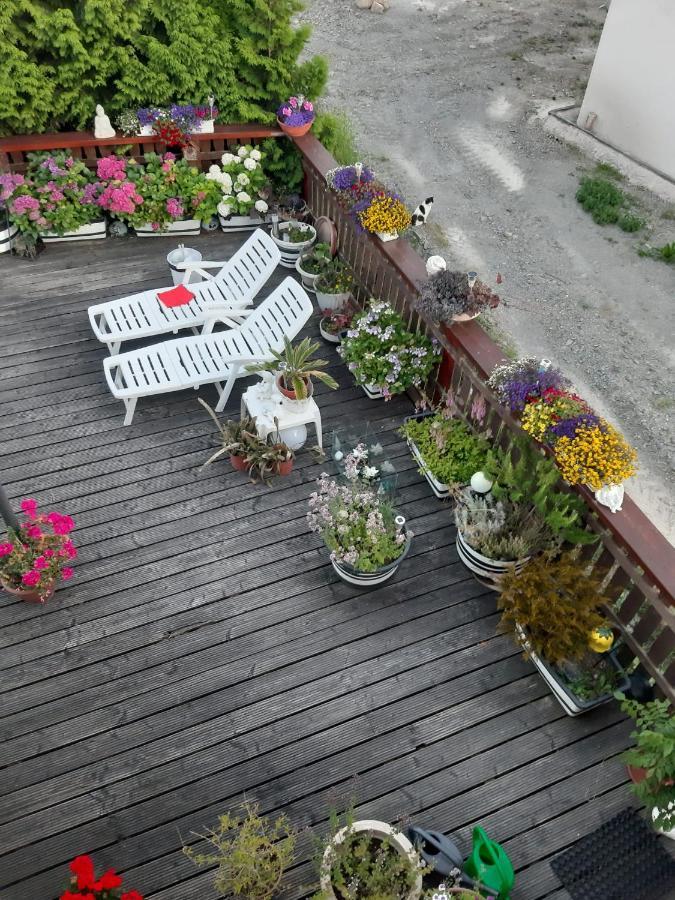 Ferienwohnung Angelo Longkamp Dış mekan fotoğraf